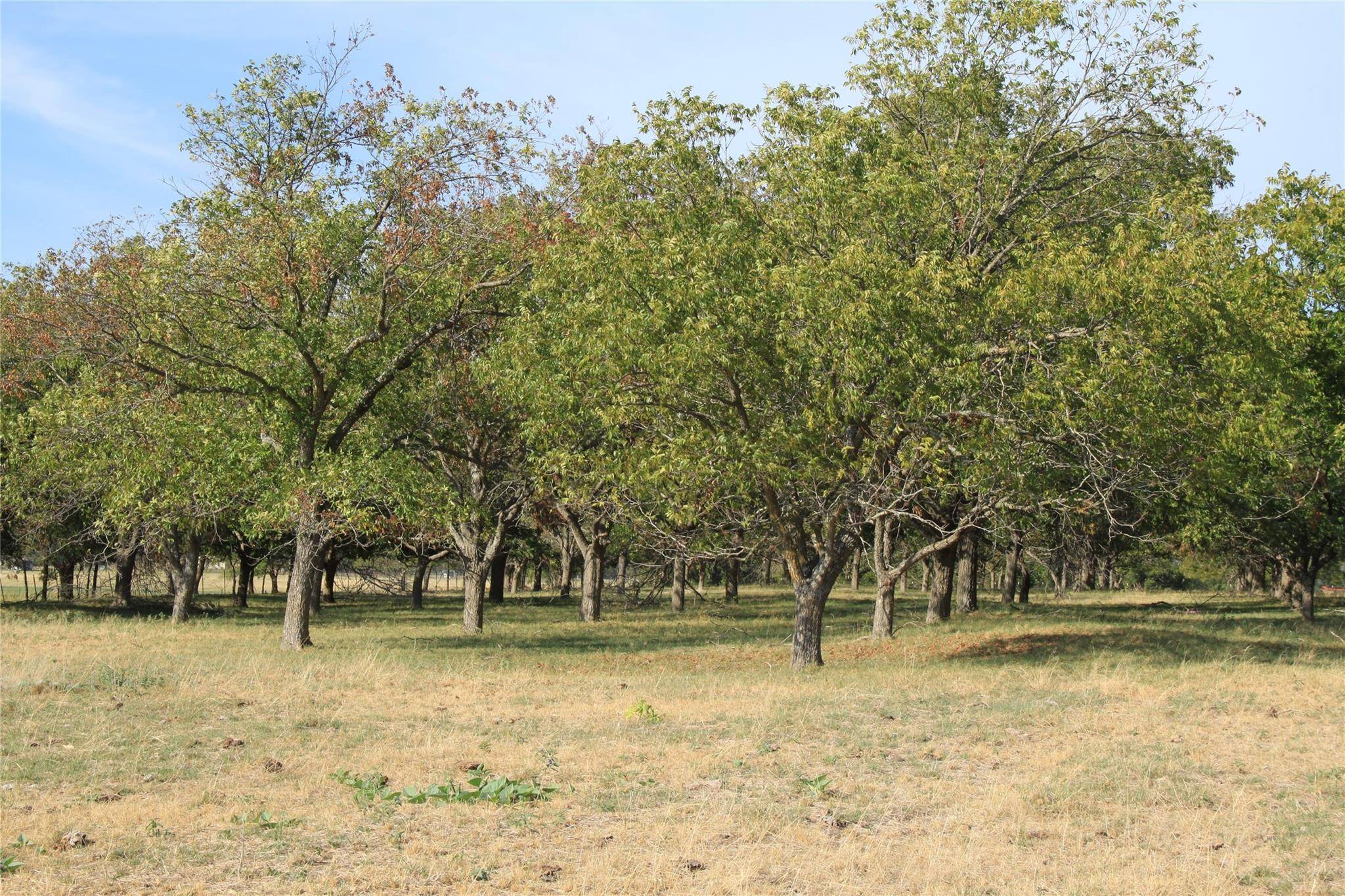 Georgetown, TX 78626,13050 E E State Hwy 29, Georgetown, Texas, 78626