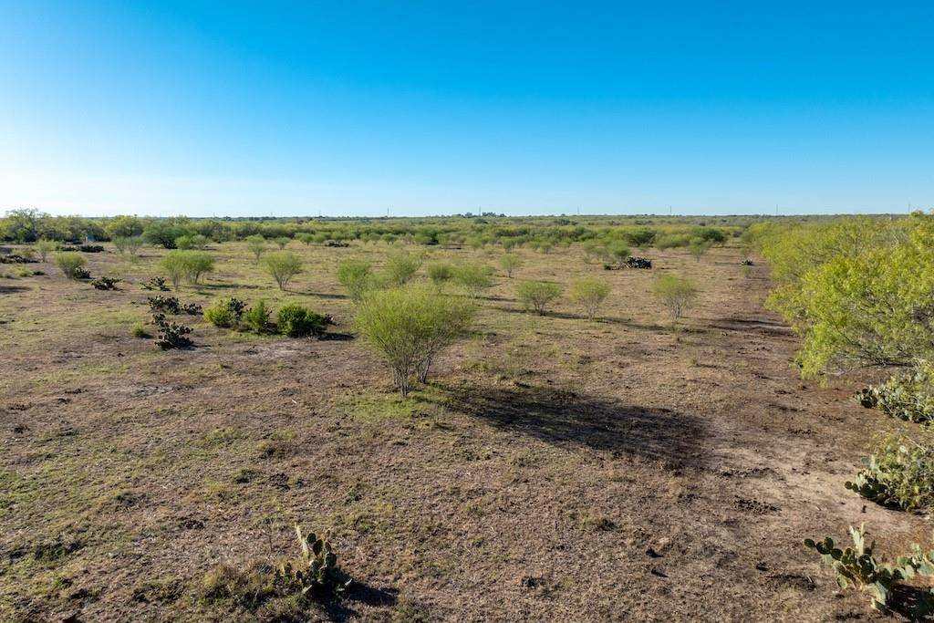 Smiley, TX 78159,TBD County Road 170