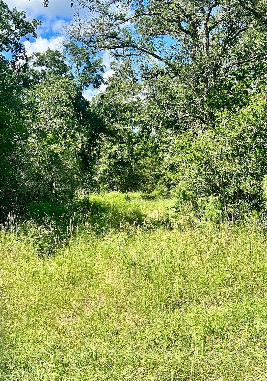 Waelder, TX 78959,TBD Wood Hollow DR