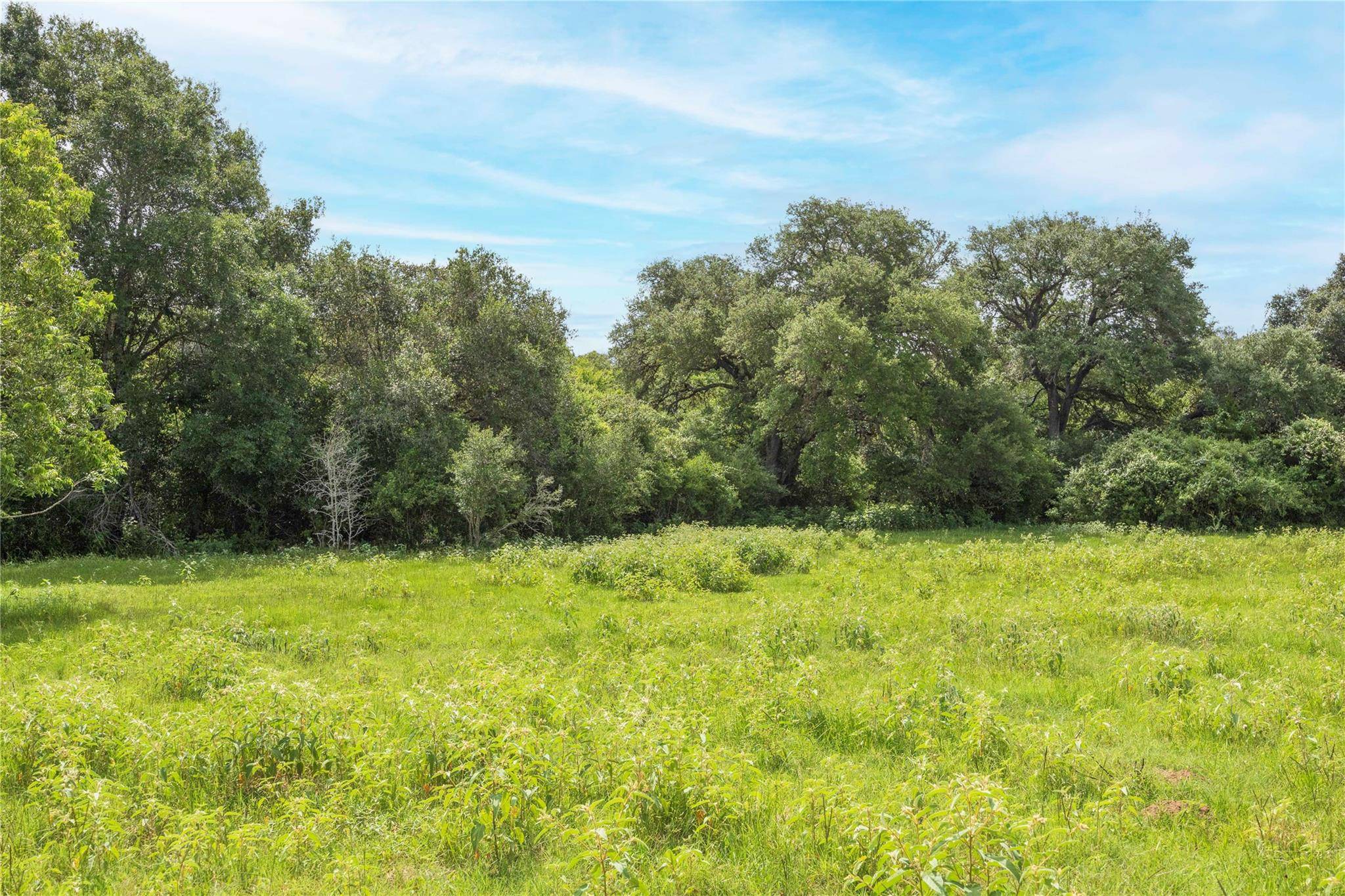 Hallettsville, TX 77964,06 CR 212