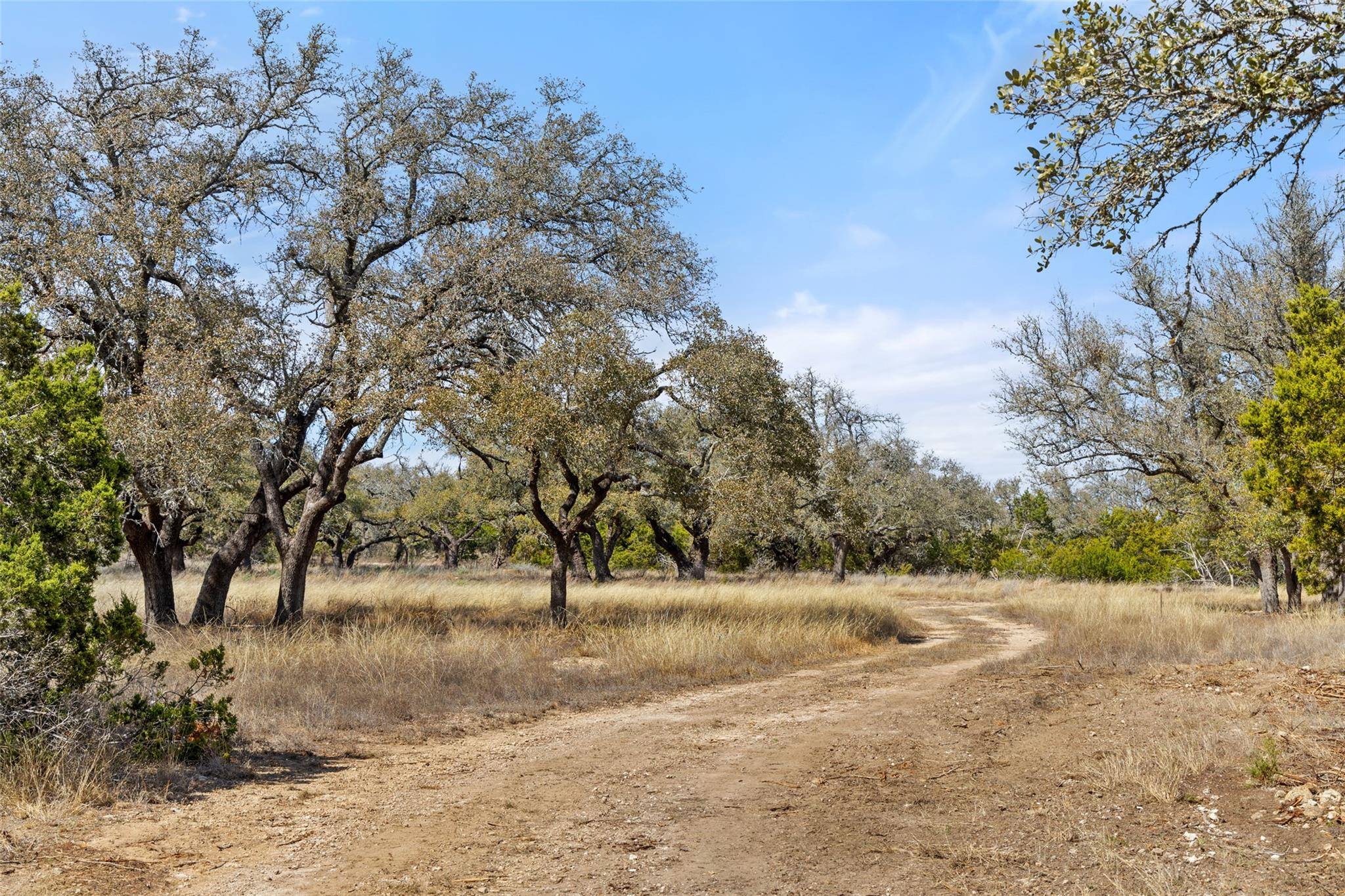 Johnson City, TX 78636,749 Becker Rd