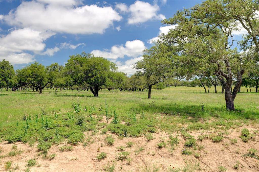 Fredericksburg, TX 78624,Lot 5 Silas TRL