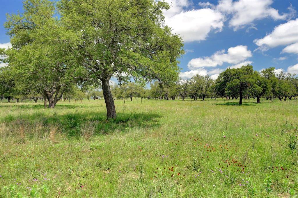 Fredericksburg, TX 78624,Lot 5 Silas TRL