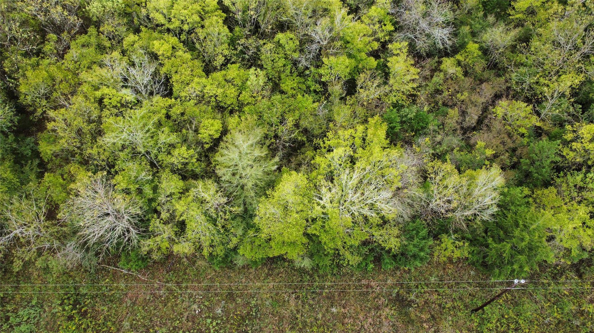 Coldspring, TX 77331,Lot 137 & 138 Briar Hill LN