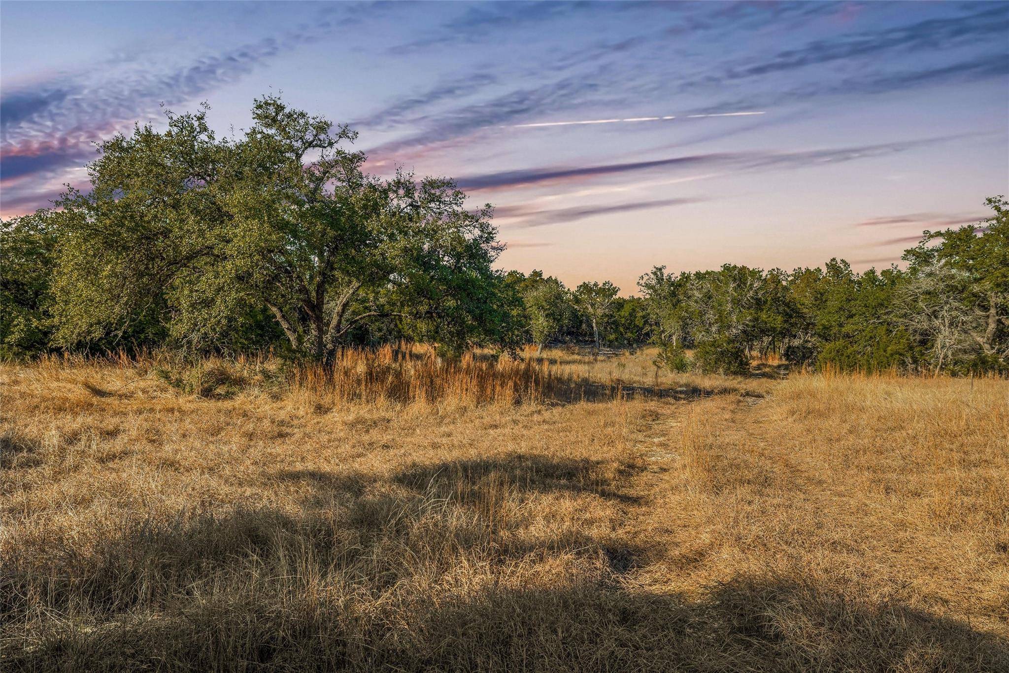 Dripping Springs, TX 78620,10107 Davy Crockett DR