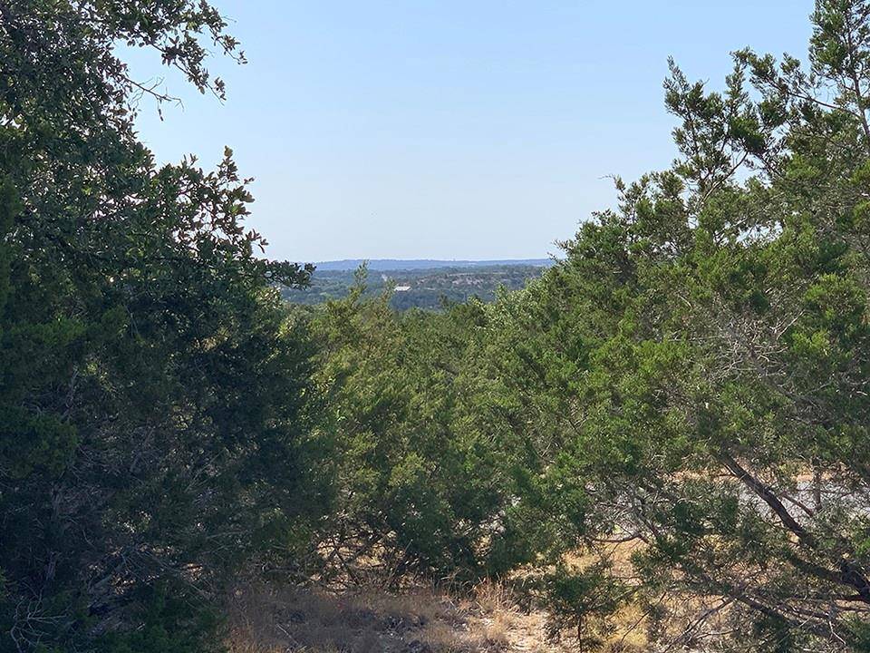 Dripping Springs, TX 78620,0 Westward Look