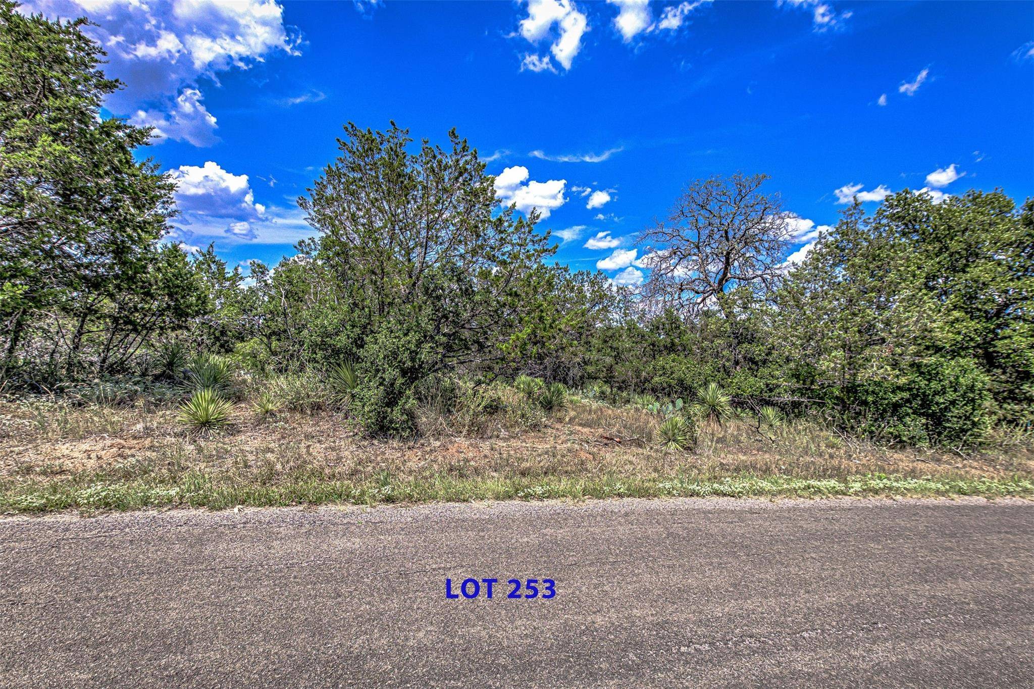 Granite Shoals, TX 78654,Lot 253 Briarway DR