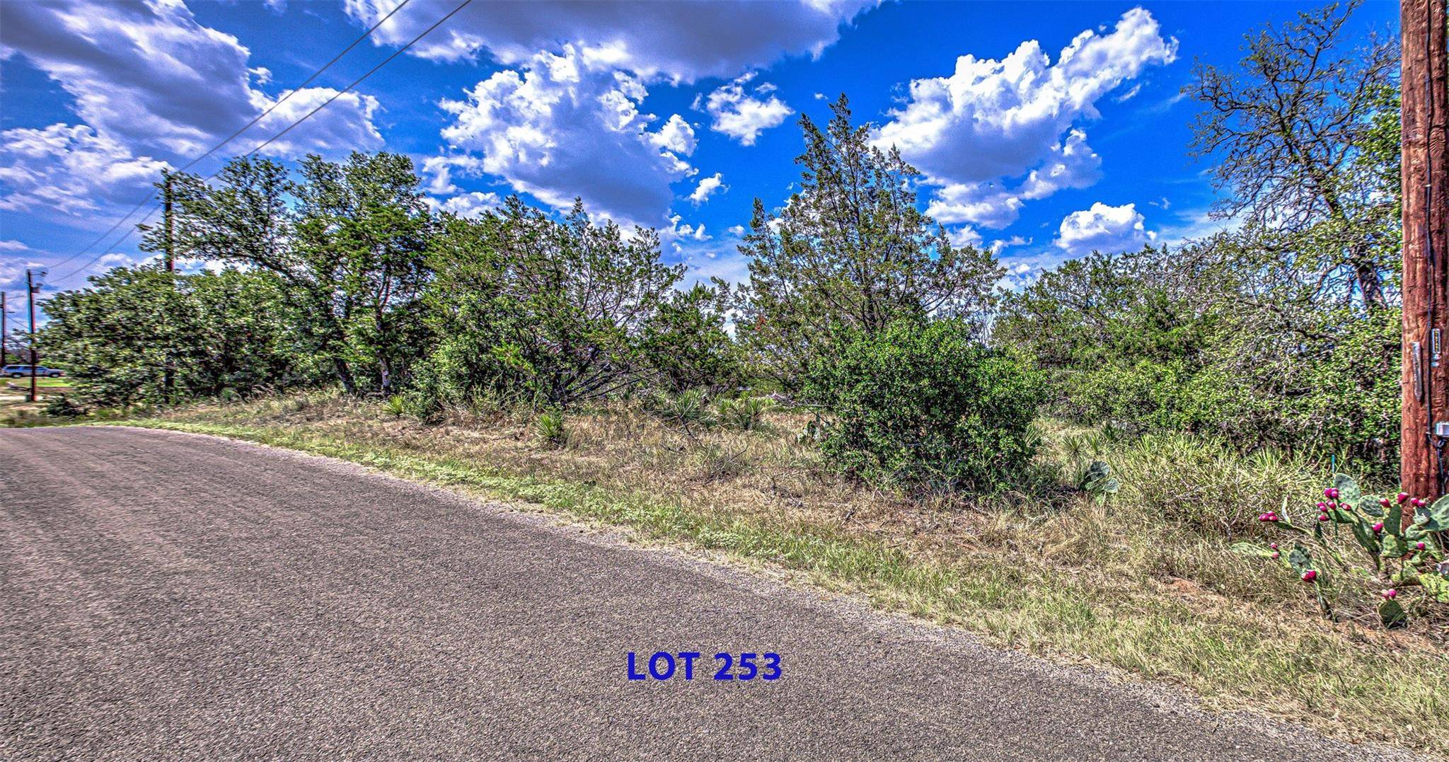 Granite Shoals, TX 78654,Lot 253 Briarway DR