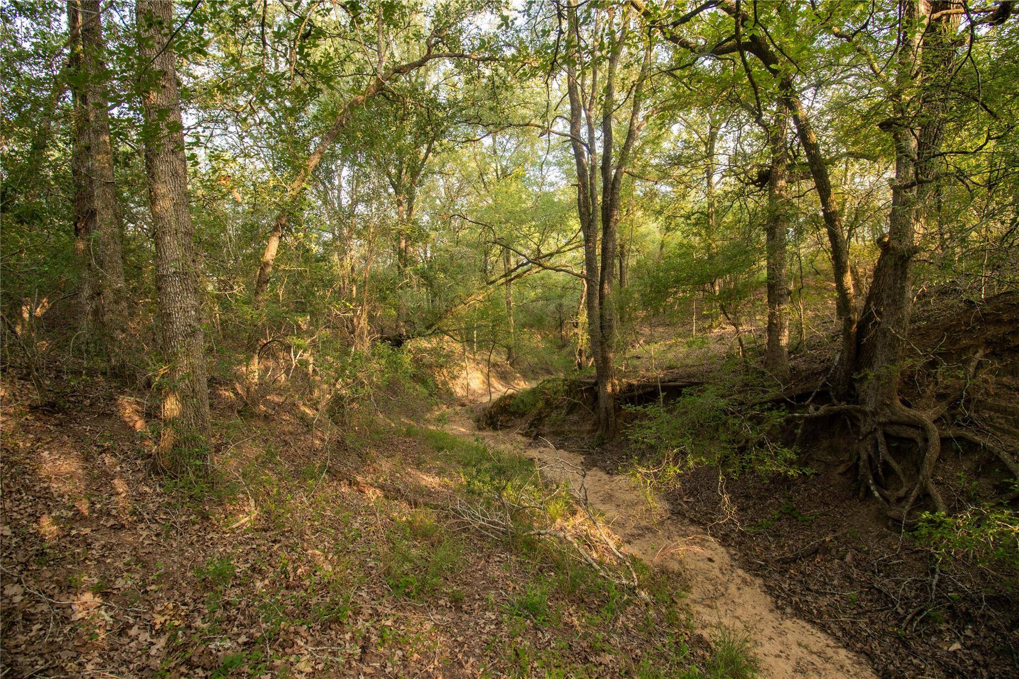 Seguin, TX 78155,760 Dowdy RD