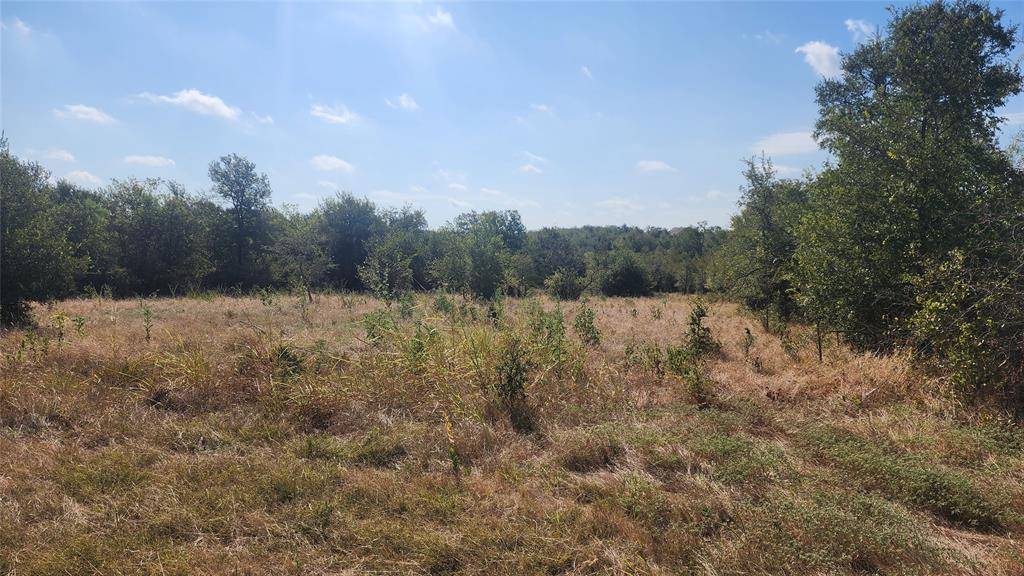 Buckholts, TX 76518,TBD Avenue B Ave