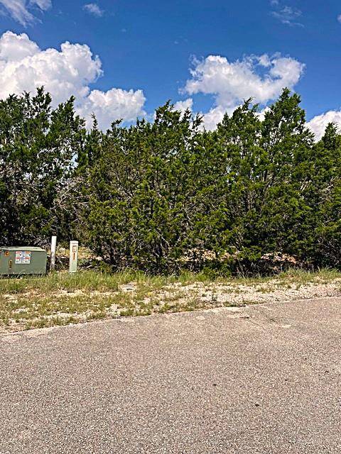 Lago Vista, TX 78645,3226 Eisenhower Ave