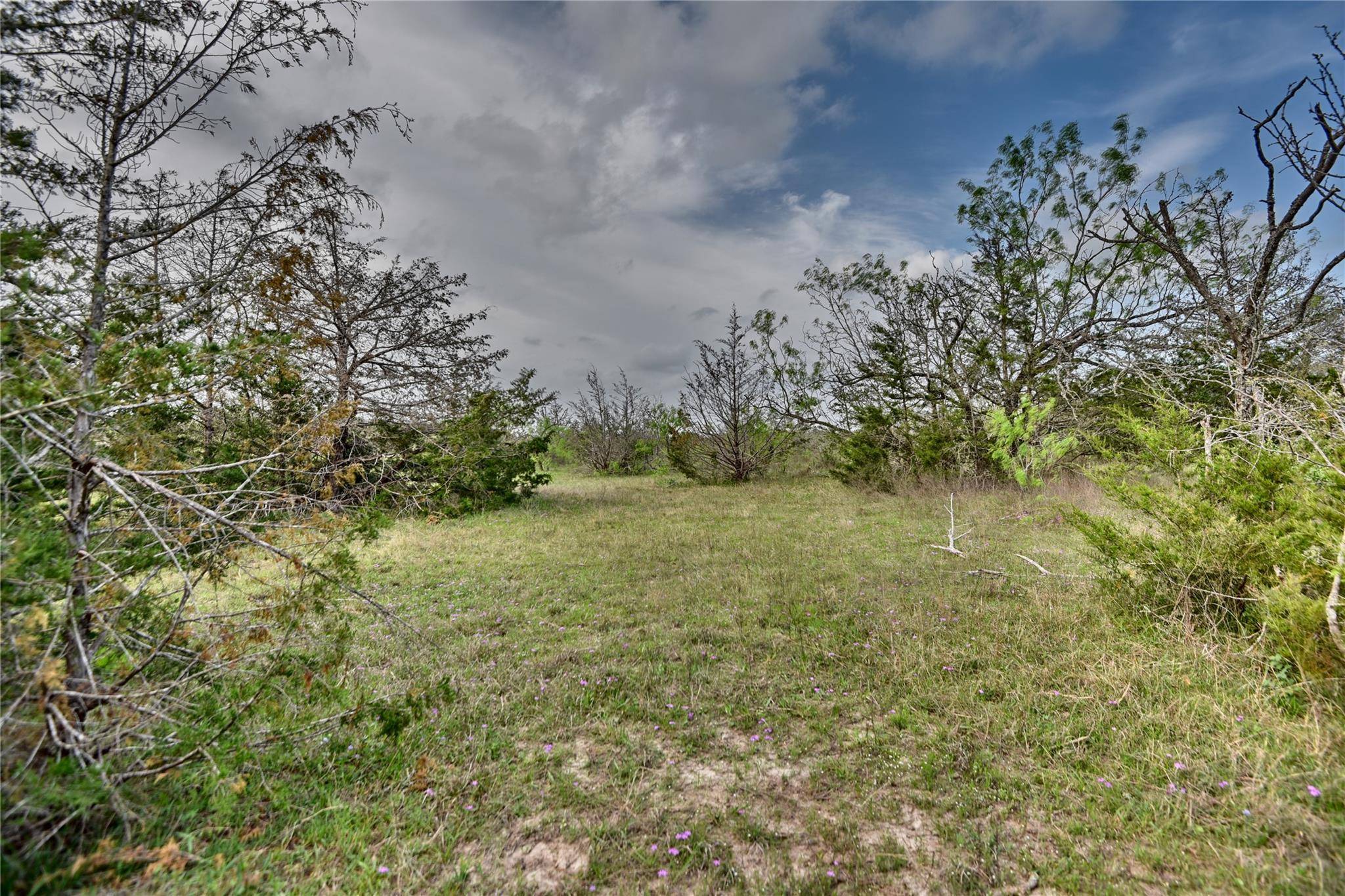 Caldwell, TX 77836,TBD (43.65 Acres) County Road 126