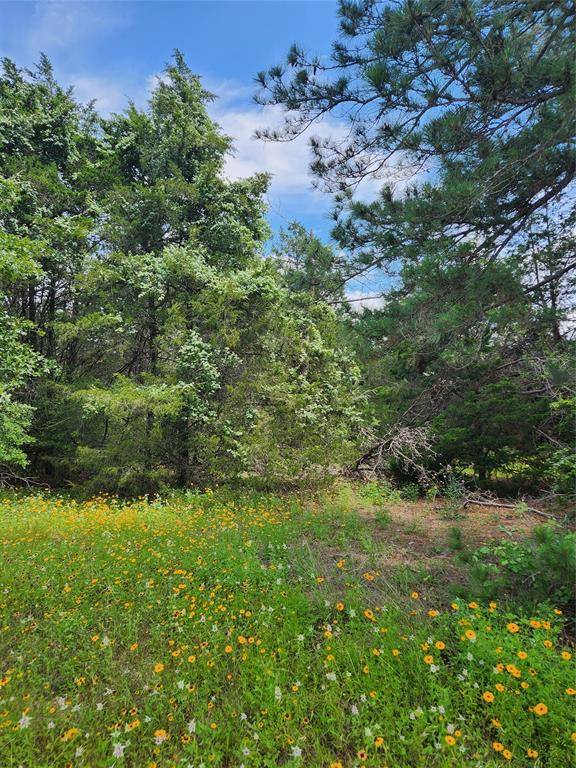 Smithville, TX 78957,TBD Pine Valley LOOP