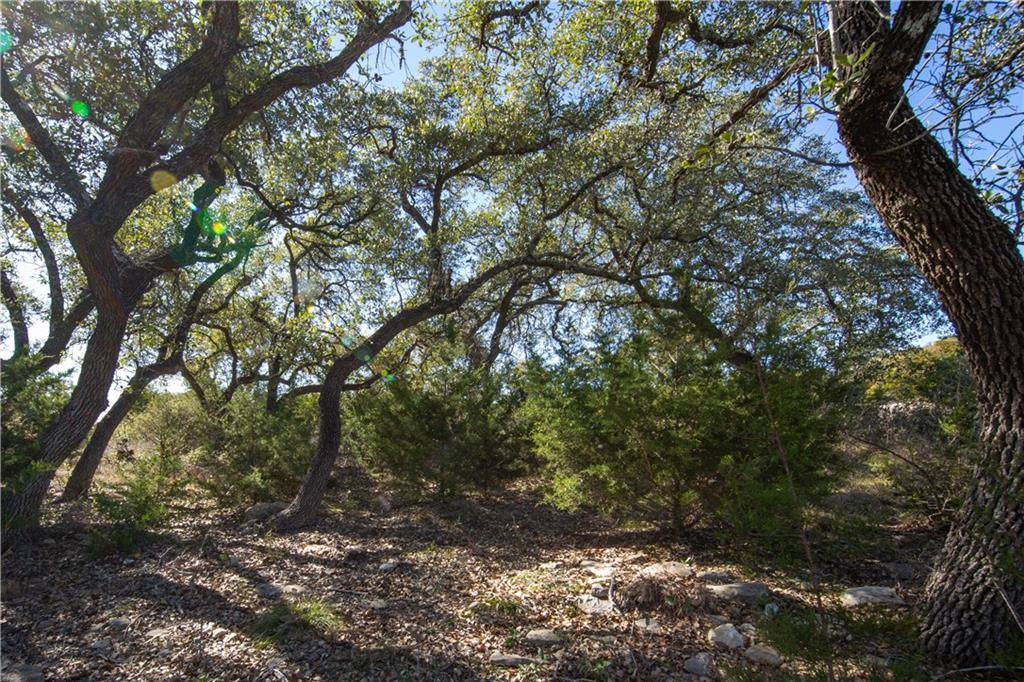 Fischer, TX 78623,TBD Flanders