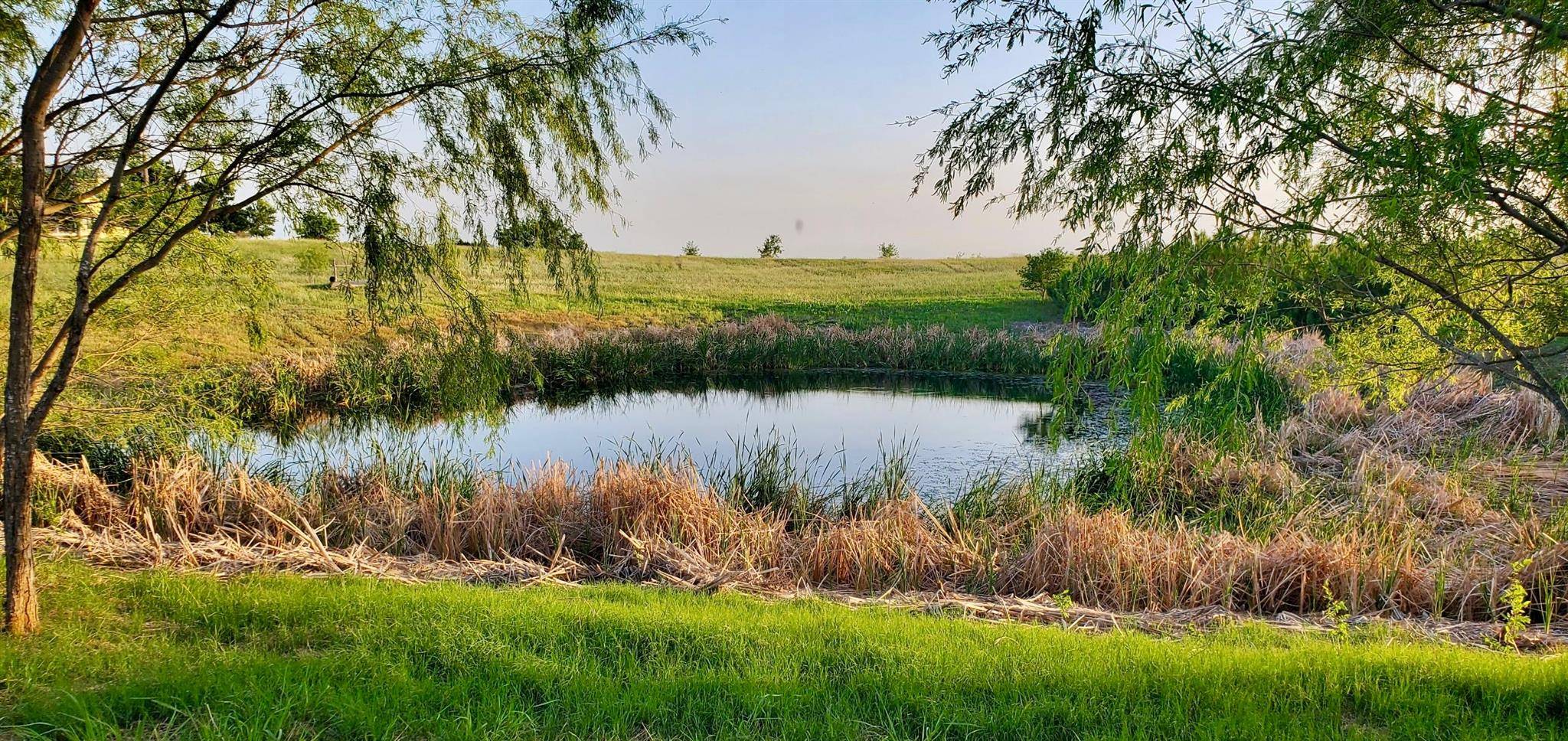 Coupland, TX 78615,975 County Rd 458 (10 Acres)