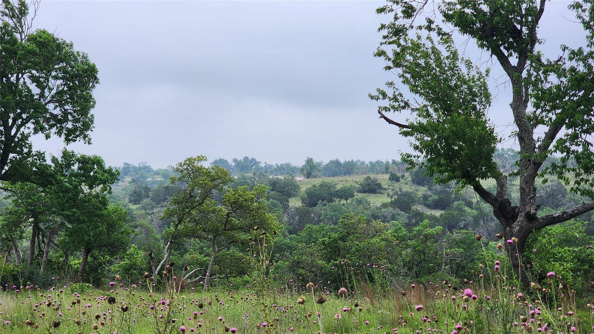 Fredericksburg, TX 78624,Lot 48 Ridgeline RD