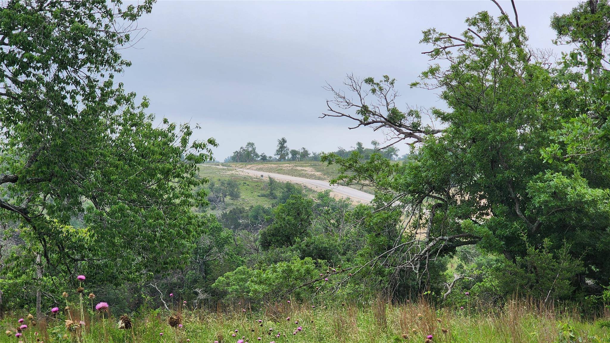 Fredericksburg, TX 78624,Lot 48 Ridgeline RD