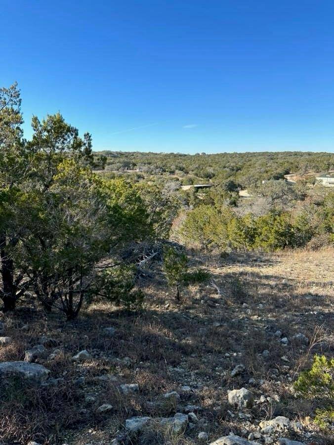 Johnson City, TX 78636,LOT 160 Brynn DR