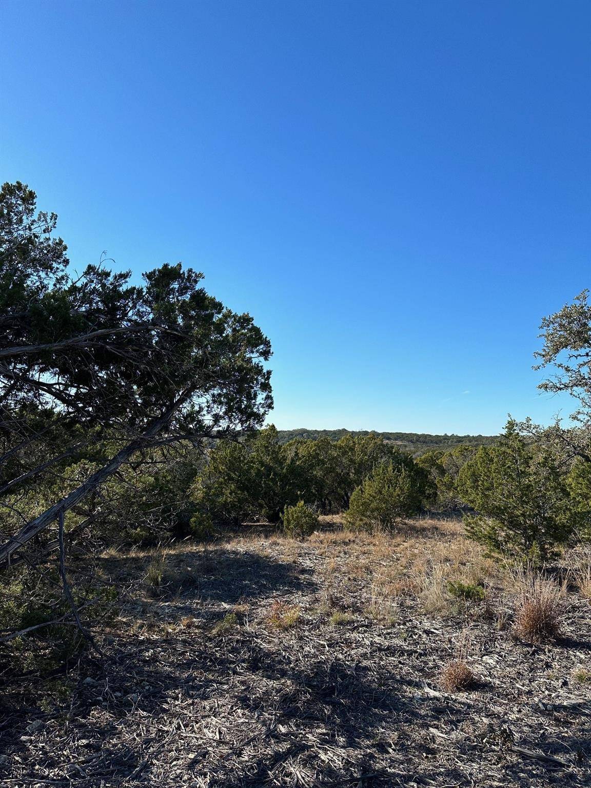 Johnson City, TX 78636,LOT 160 Brynn DR