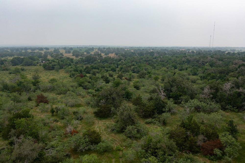 Waelder, TX 78959,LOT 3 Private Road 4601