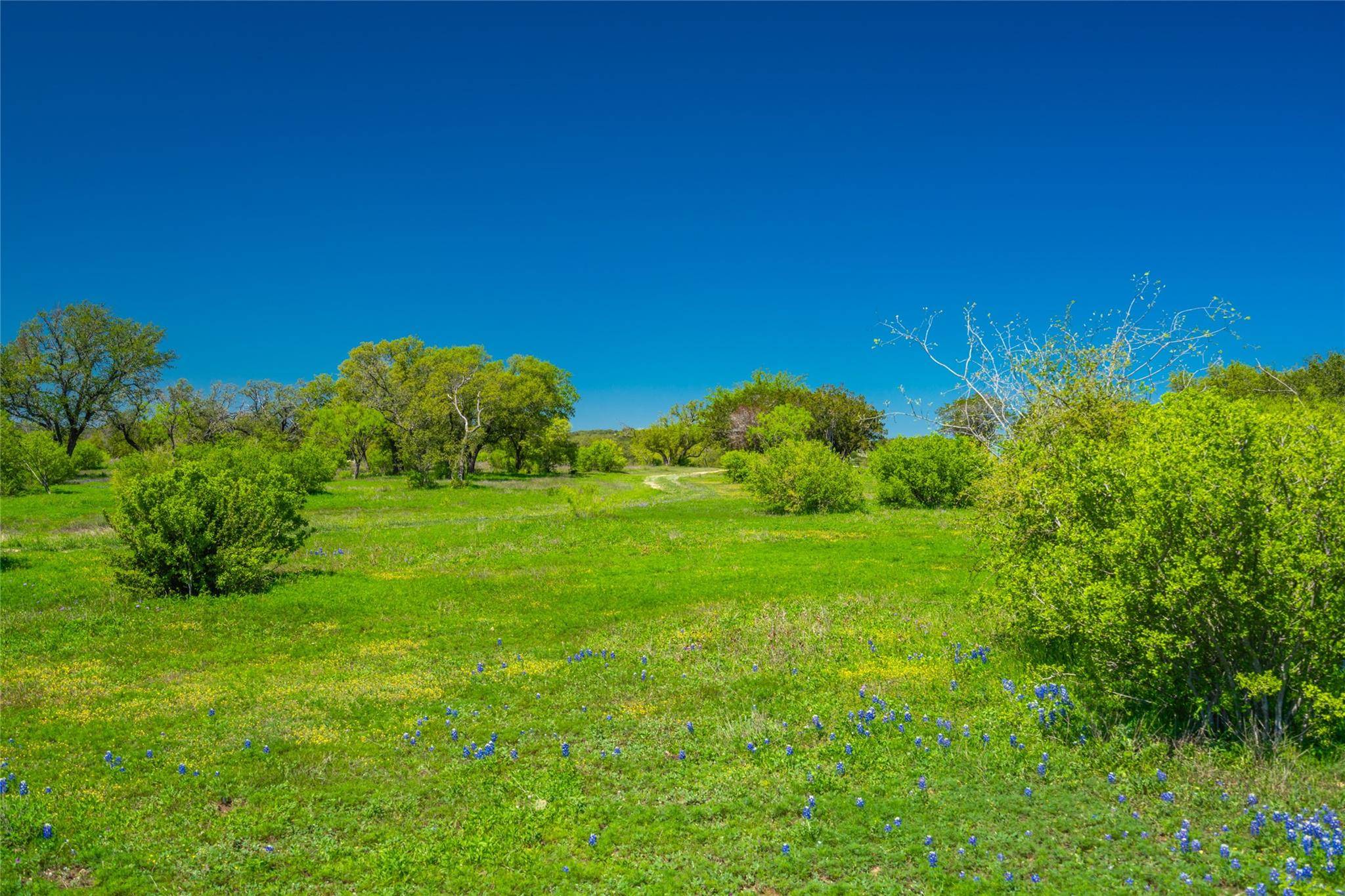 Spicewood, TX 78669,TBD Paleface Ranch RD