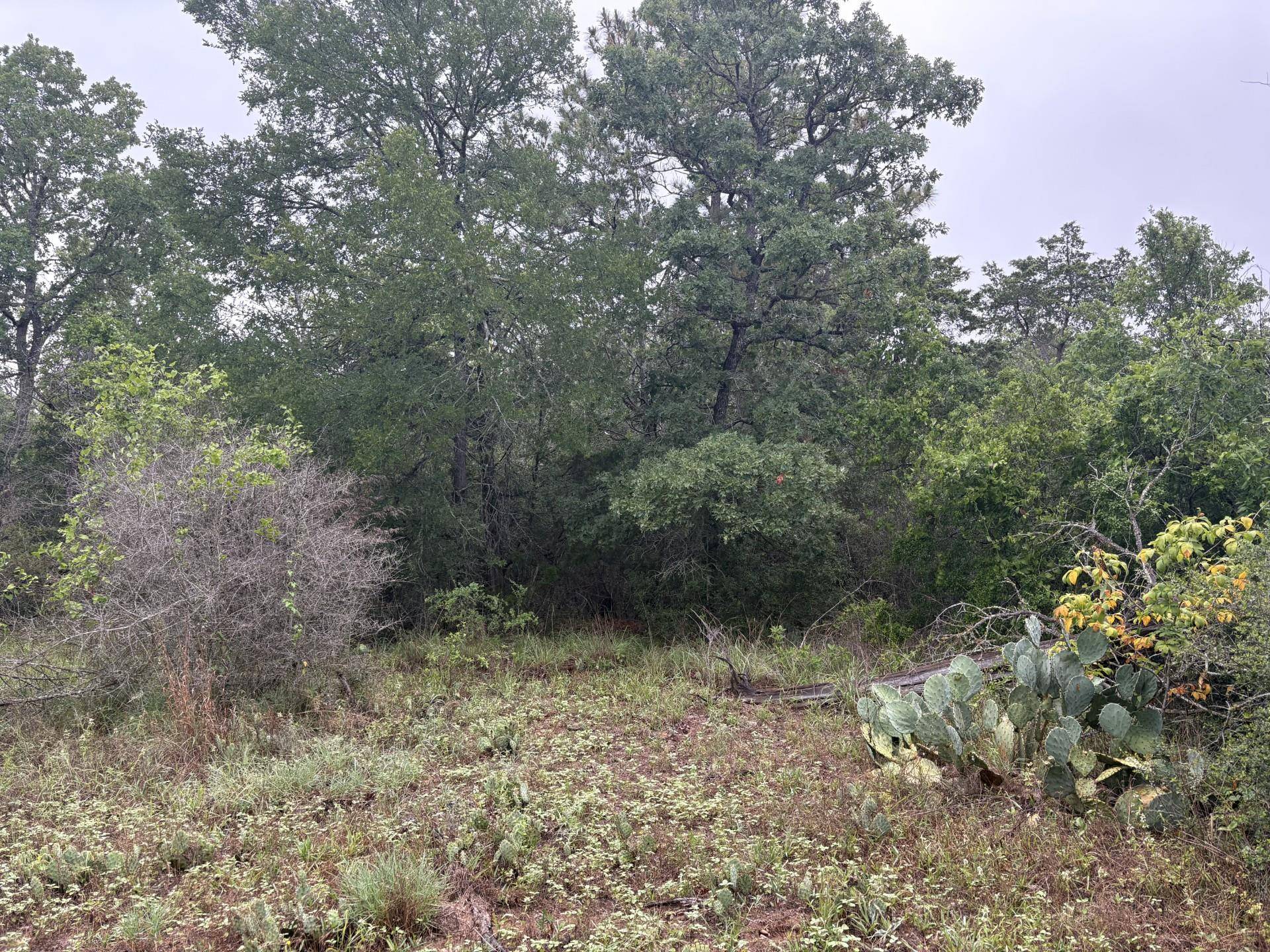 Bastrop, TX 78602,TBD Hanauma DR
