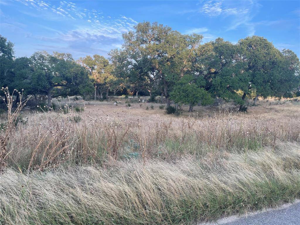 Spring Branch, TX 78070,2841 Campestres