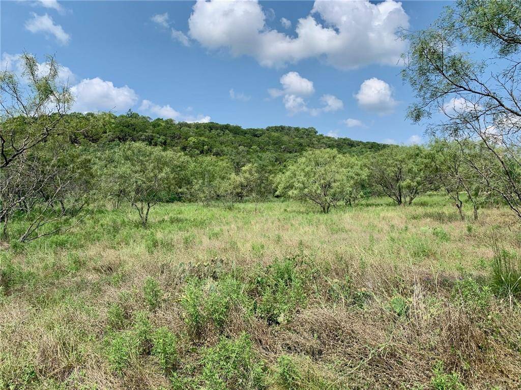 Bertram, TX 78605,Lot 312 S FM 1174