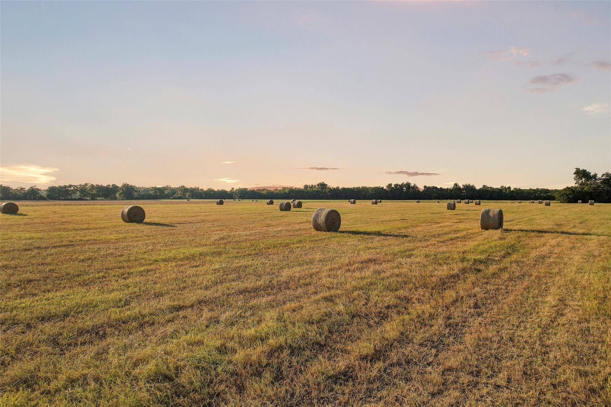 Taylor, TX 76574,TBD FM 973