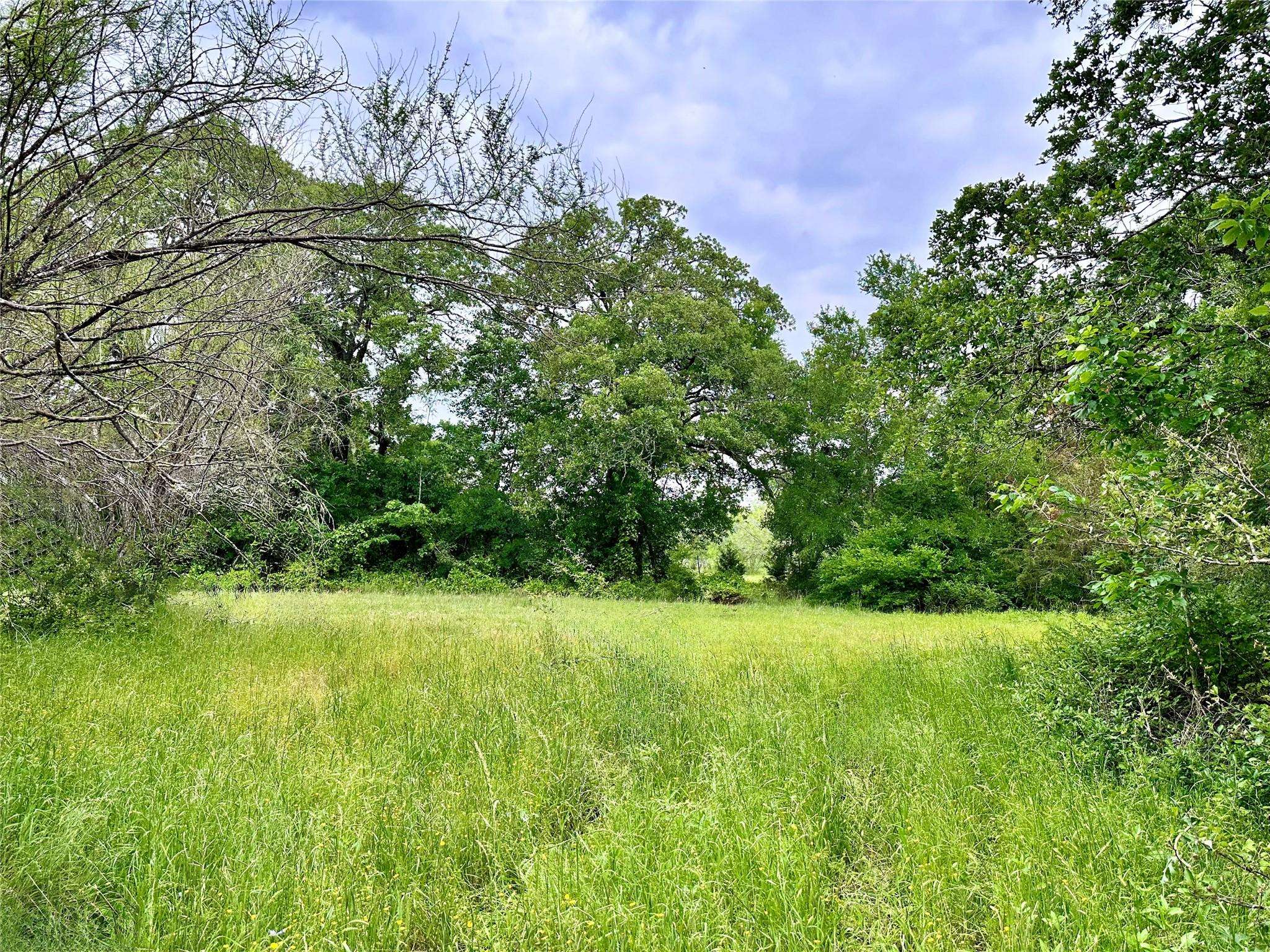 Brenham, TX 77833,00 Quarry RD