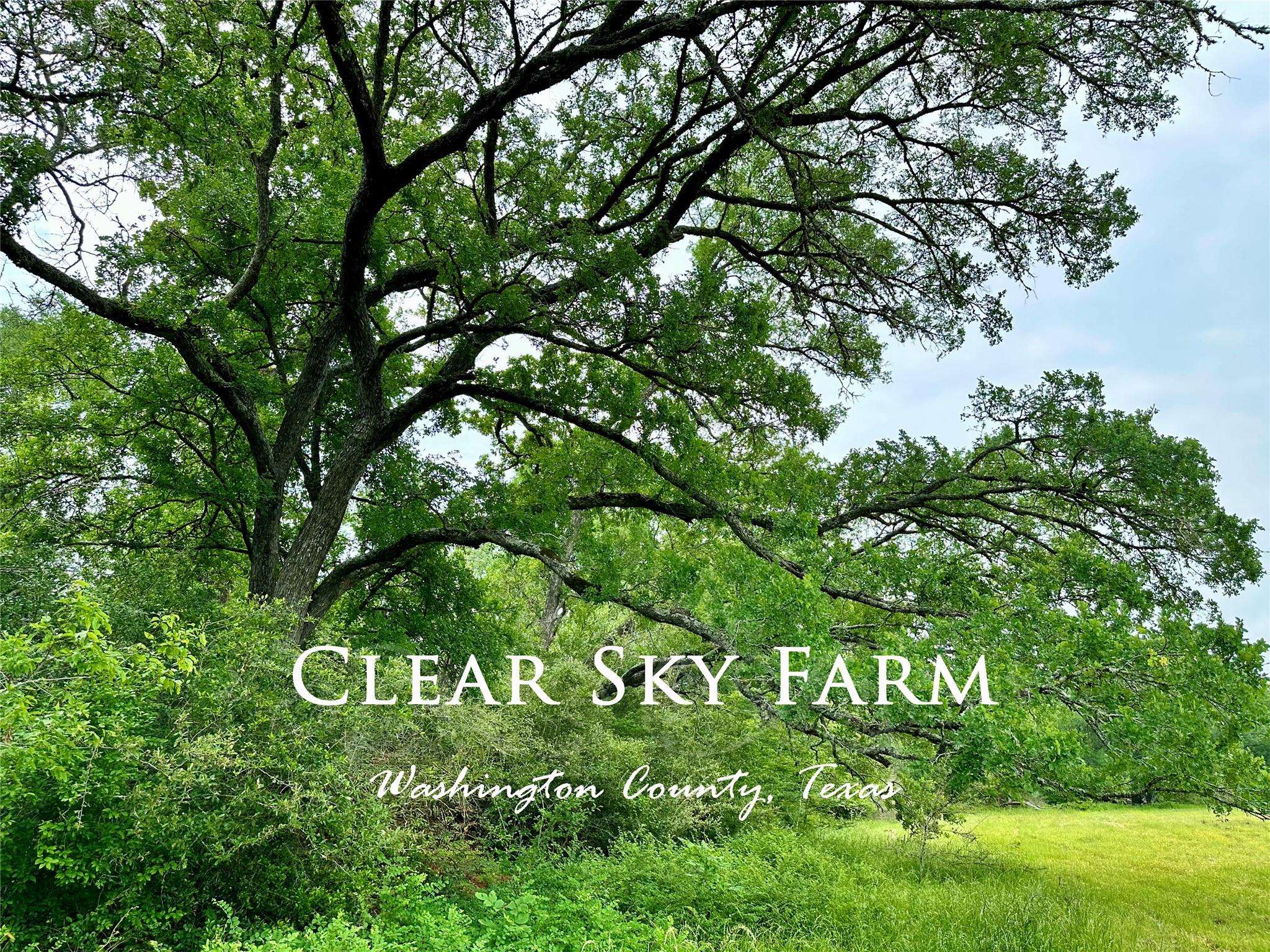Brenham, TX 77833,00 Quarry RD
