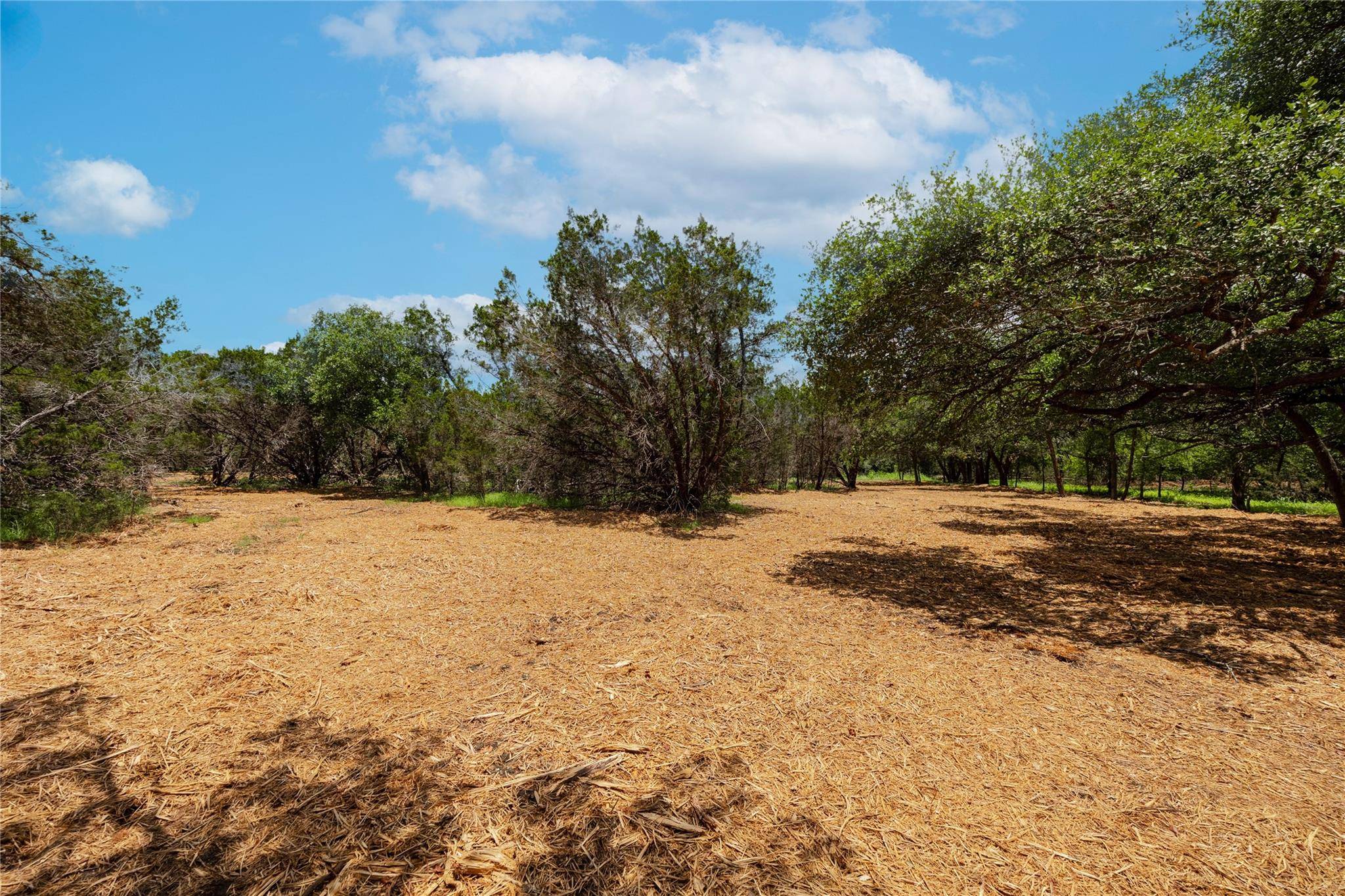 Georgetown, TX 78633,250 E Ridgewood RD
