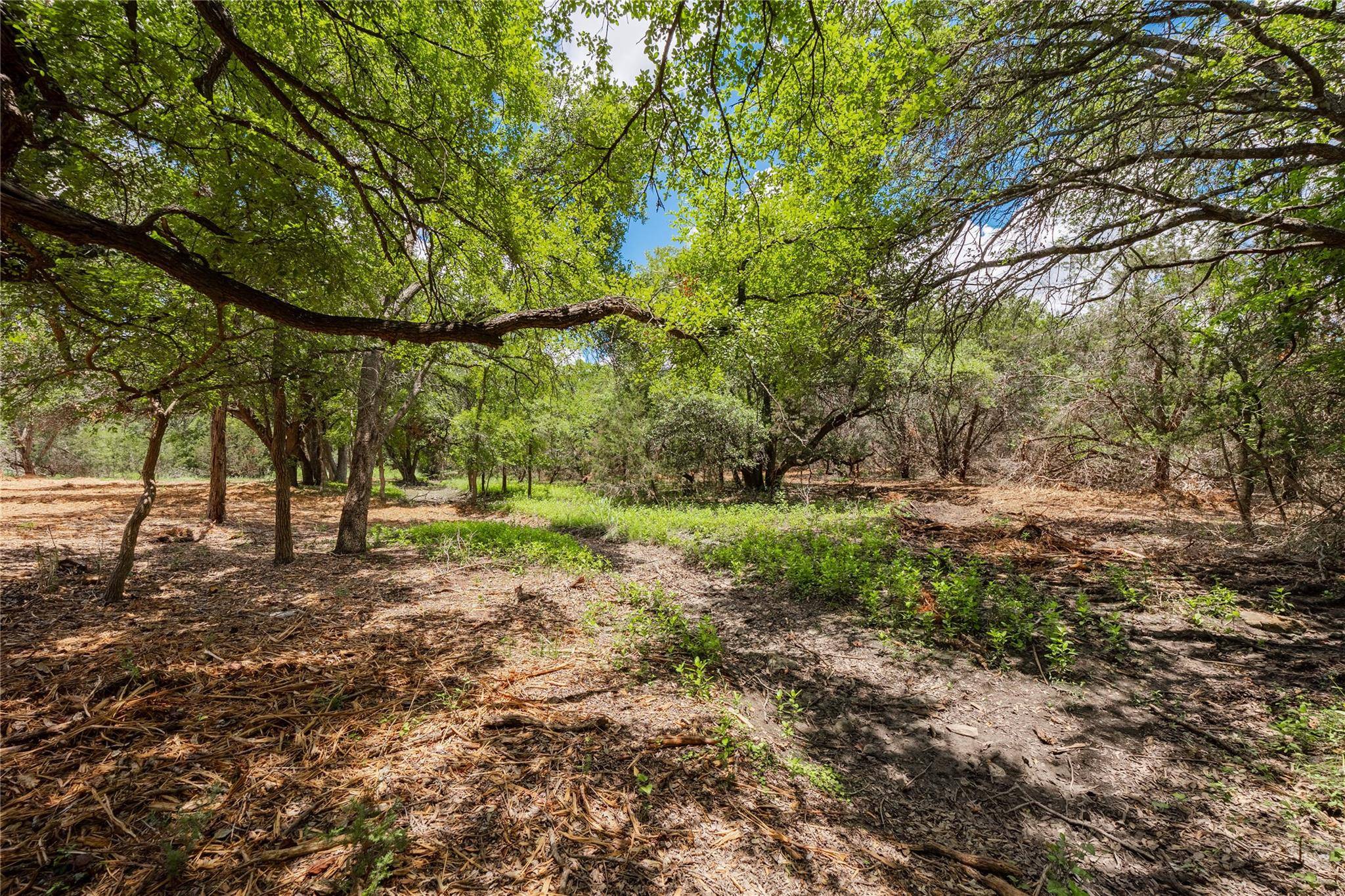 Georgetown, TX 78633,250 E Ridgewood RD