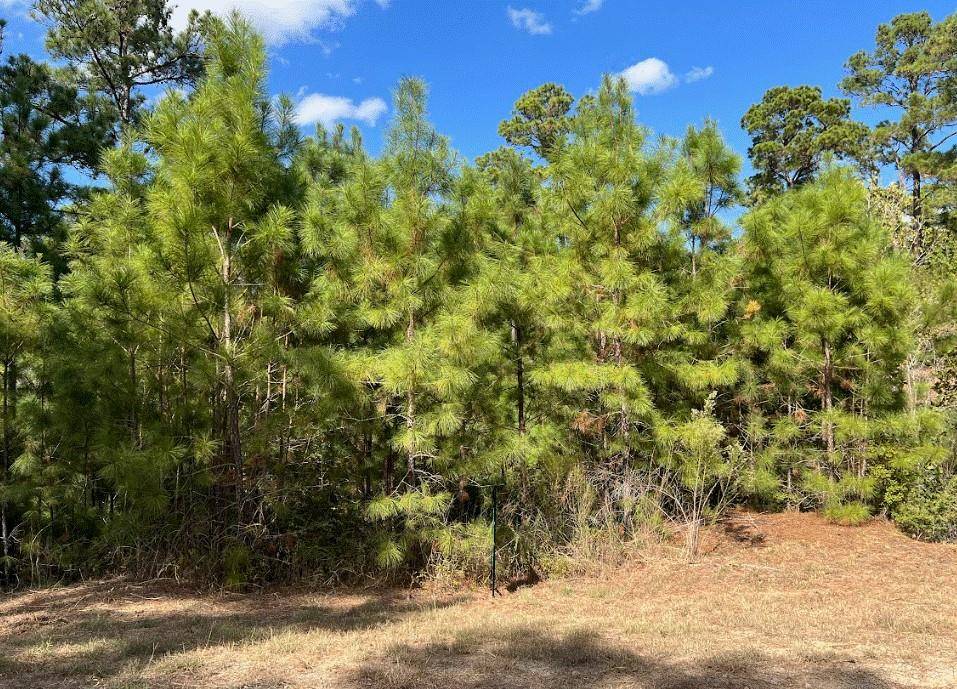 Bastrop, TX 78602,Lot 986 Kailua L LN