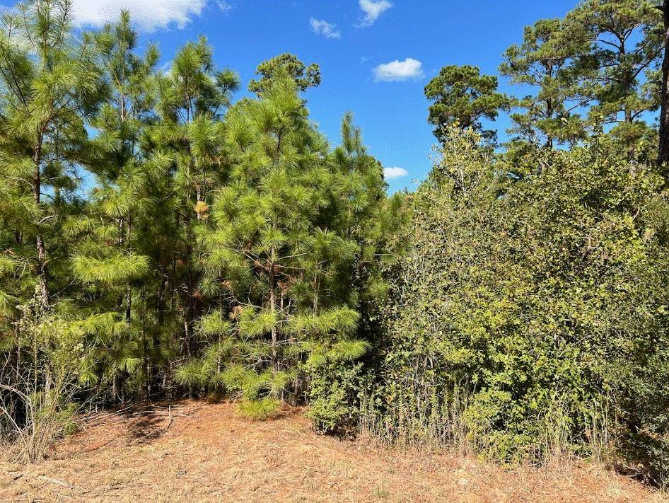 Bastrop, TX 78602,Lot 986 Kailua L LN