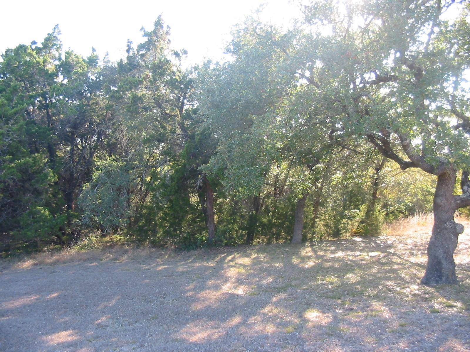 Dripping Springs, TX 78620,9604 Sisk LN