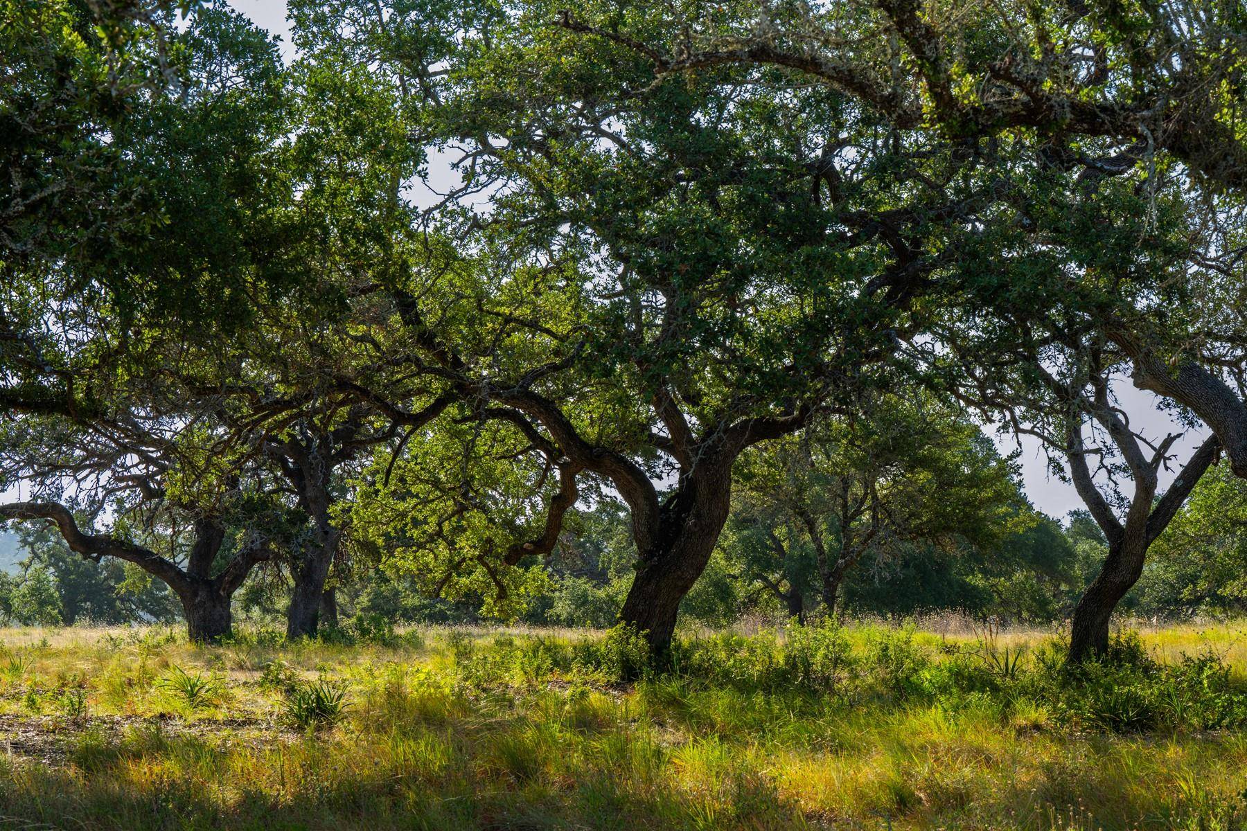 Driftwood, TX 78619,Lot 100 Tuscany DR