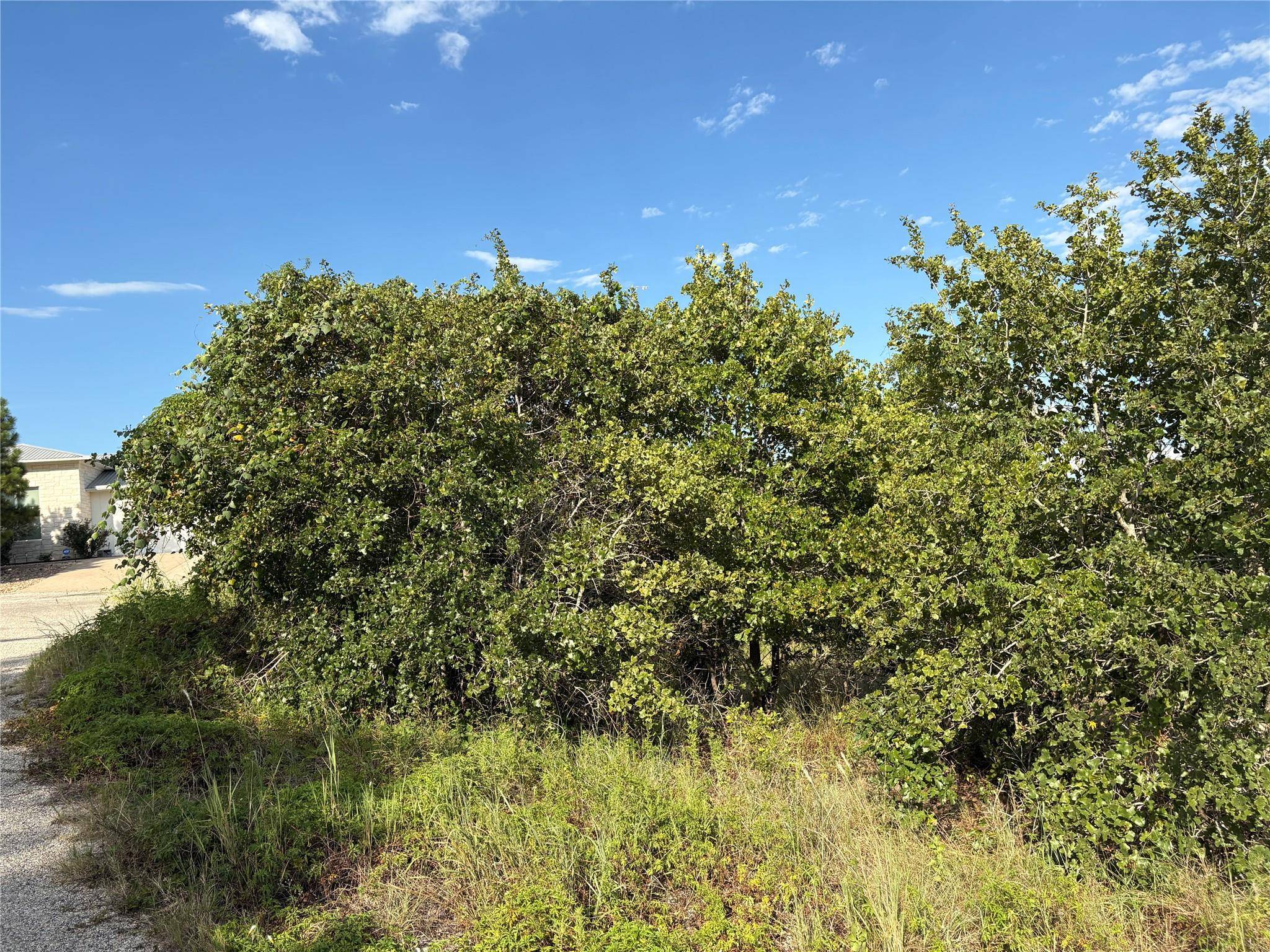 Bastrop, TX 78602,TBD Kimo CT