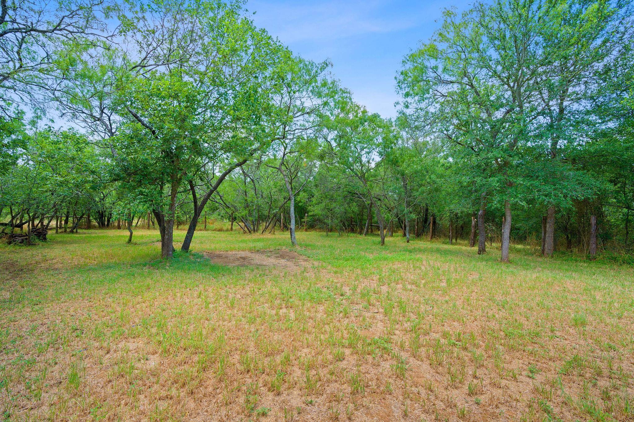 Cedar Creek, TX 78612,121 Wyers PL