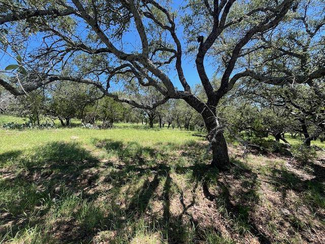 Horseshoe Bay, TX 78657,w35276 Desert Rose S S