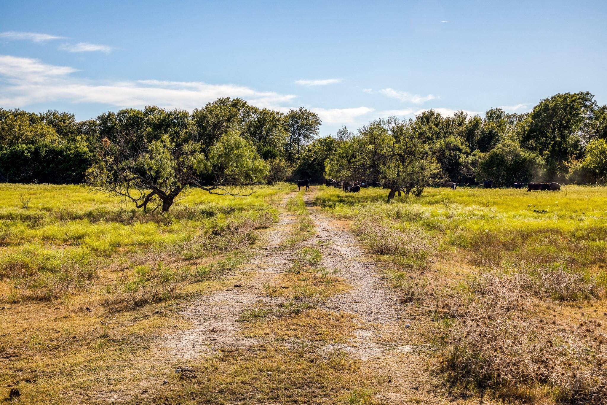 Lometa, TX 76853,Tbd County Road 2200 W/S RD