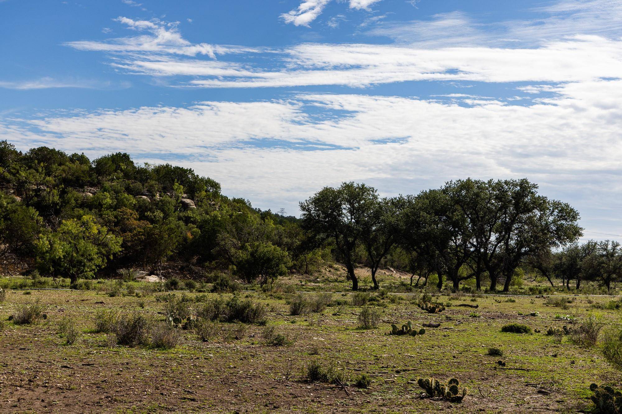 Junction, TX 76849,12628 W Ranch Rd. 1674