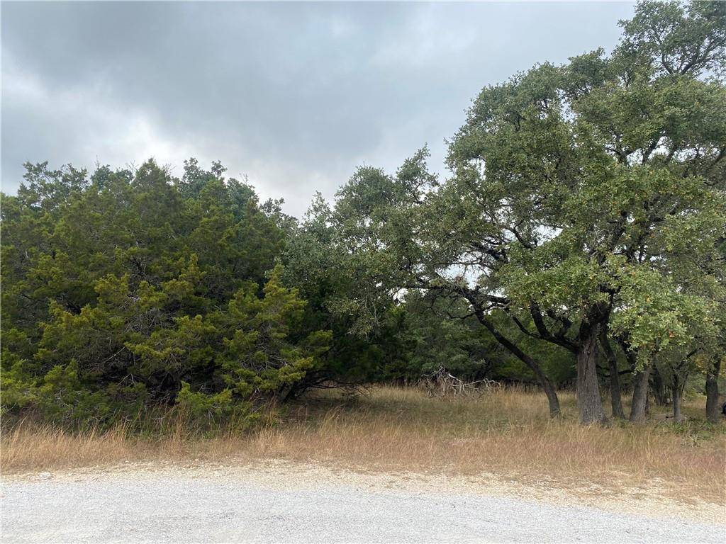 Dripping Springs, TX 78620,Address not disclosed