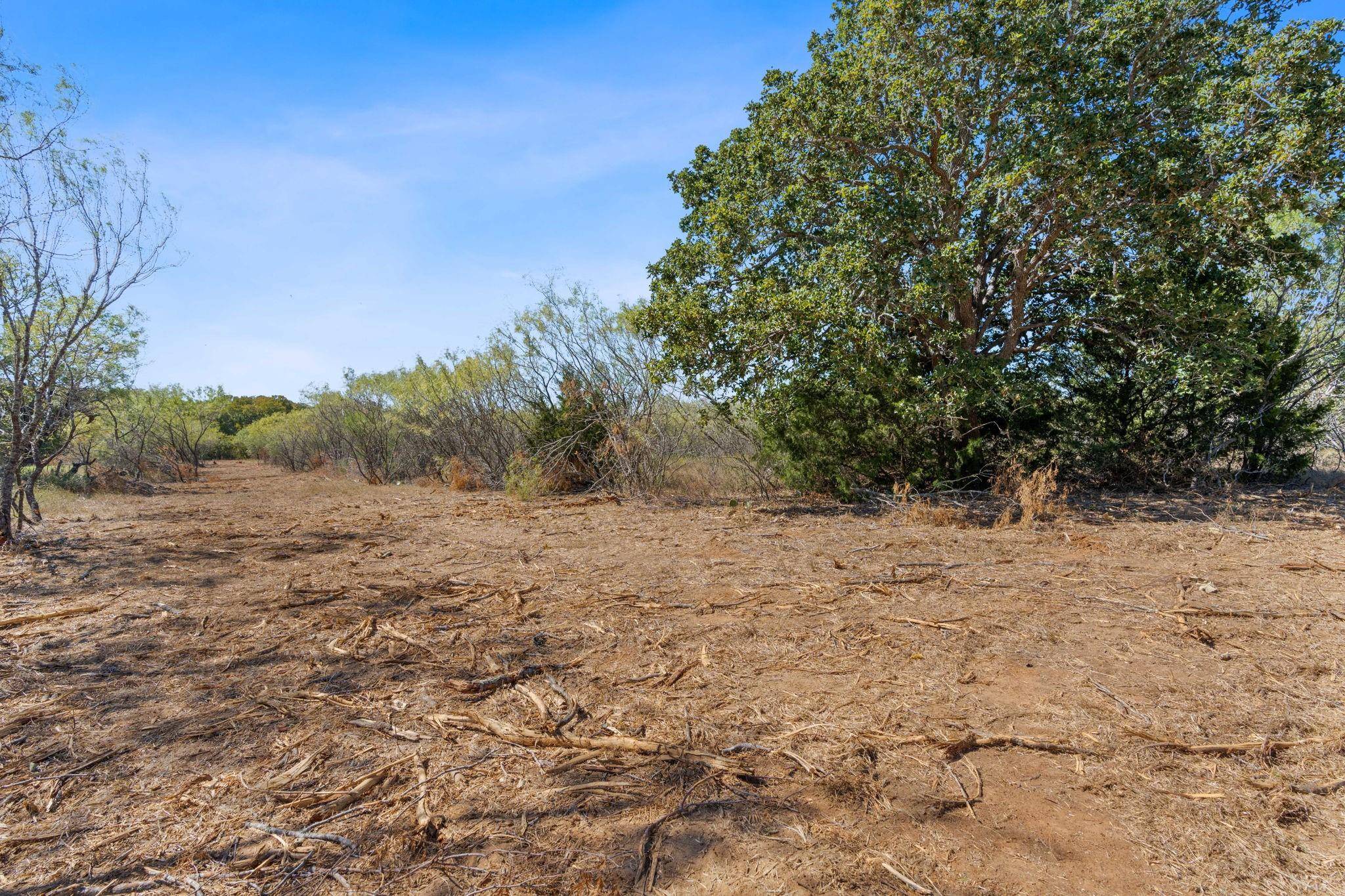 Dale, TX 78616,Lot 2 Tumbleweed TRL