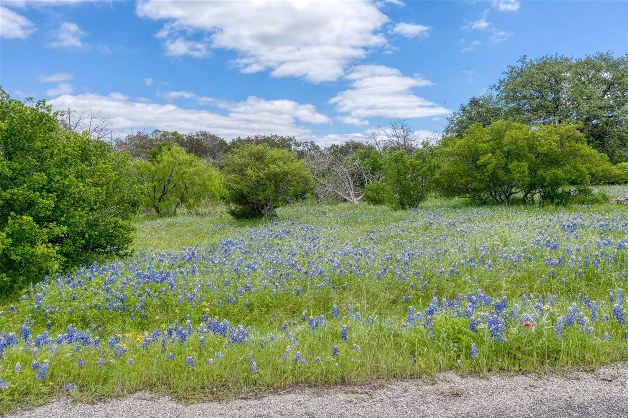 Horseshoe Bay, TX 78657,K1166 Mountain Dew RD