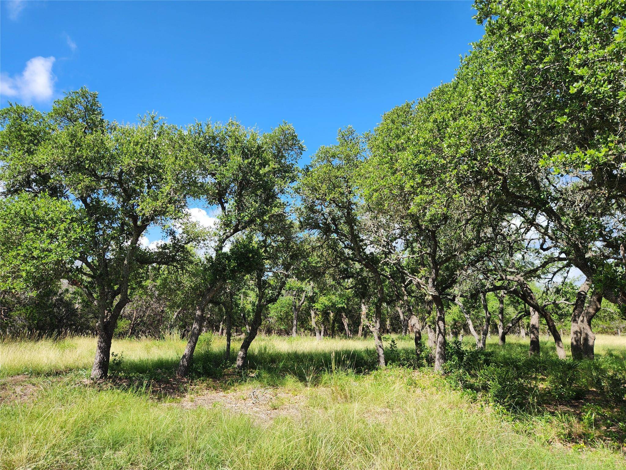 Fischer, TX 78623,11360 Fm 32 HWY