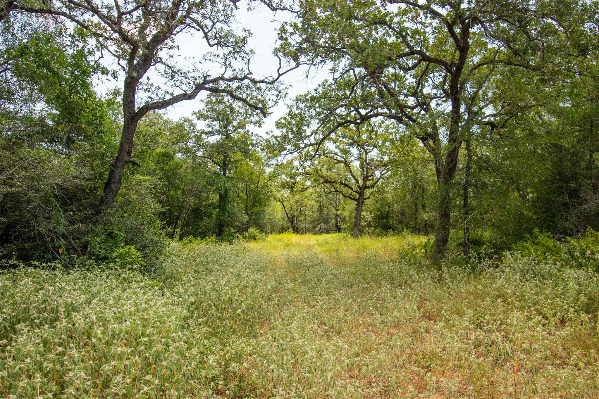 Seguin, TX 78155,2252 Bluestem Crest LN