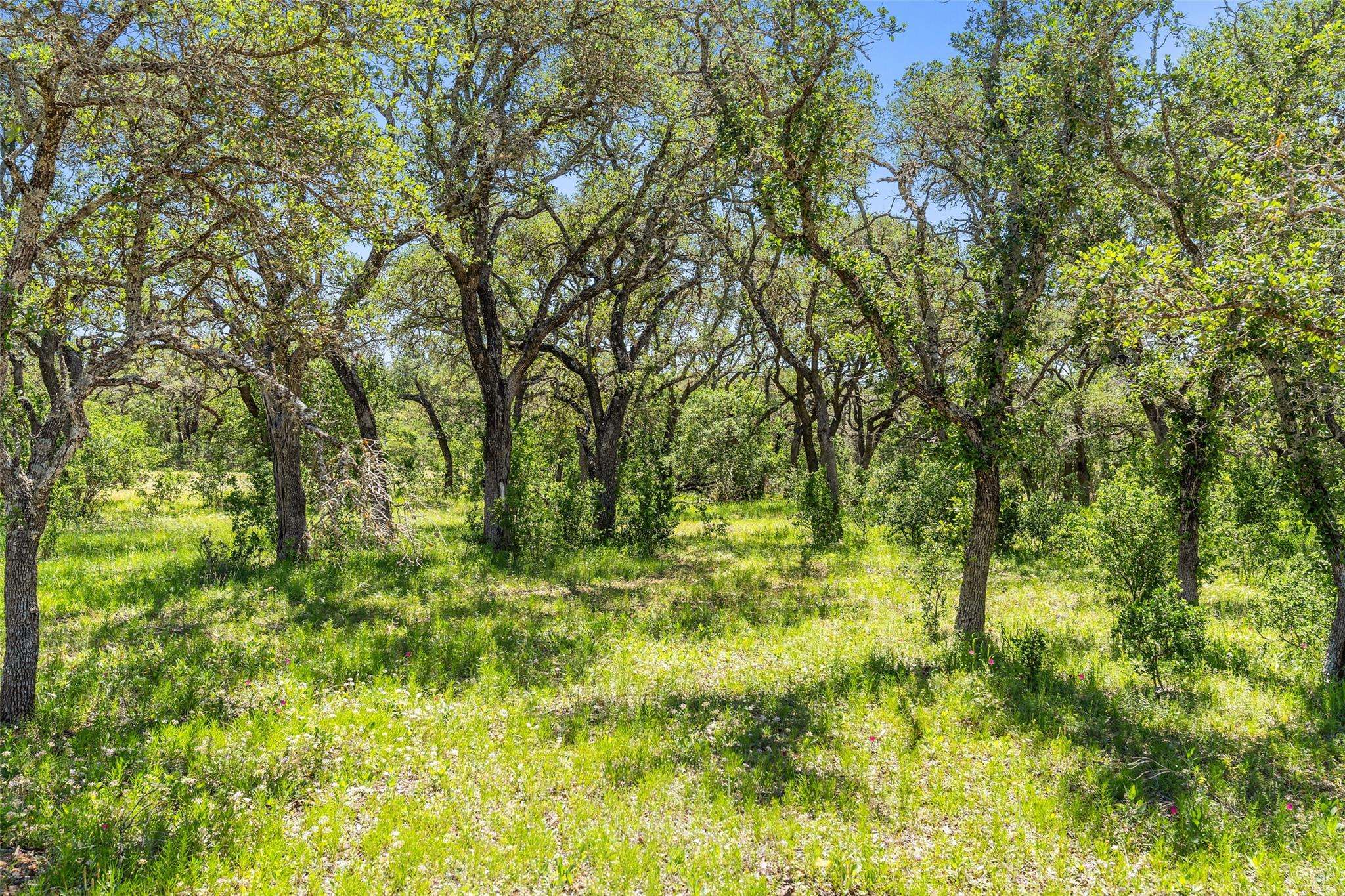 Johnson City, TX 78636,1422-4 RM 2766