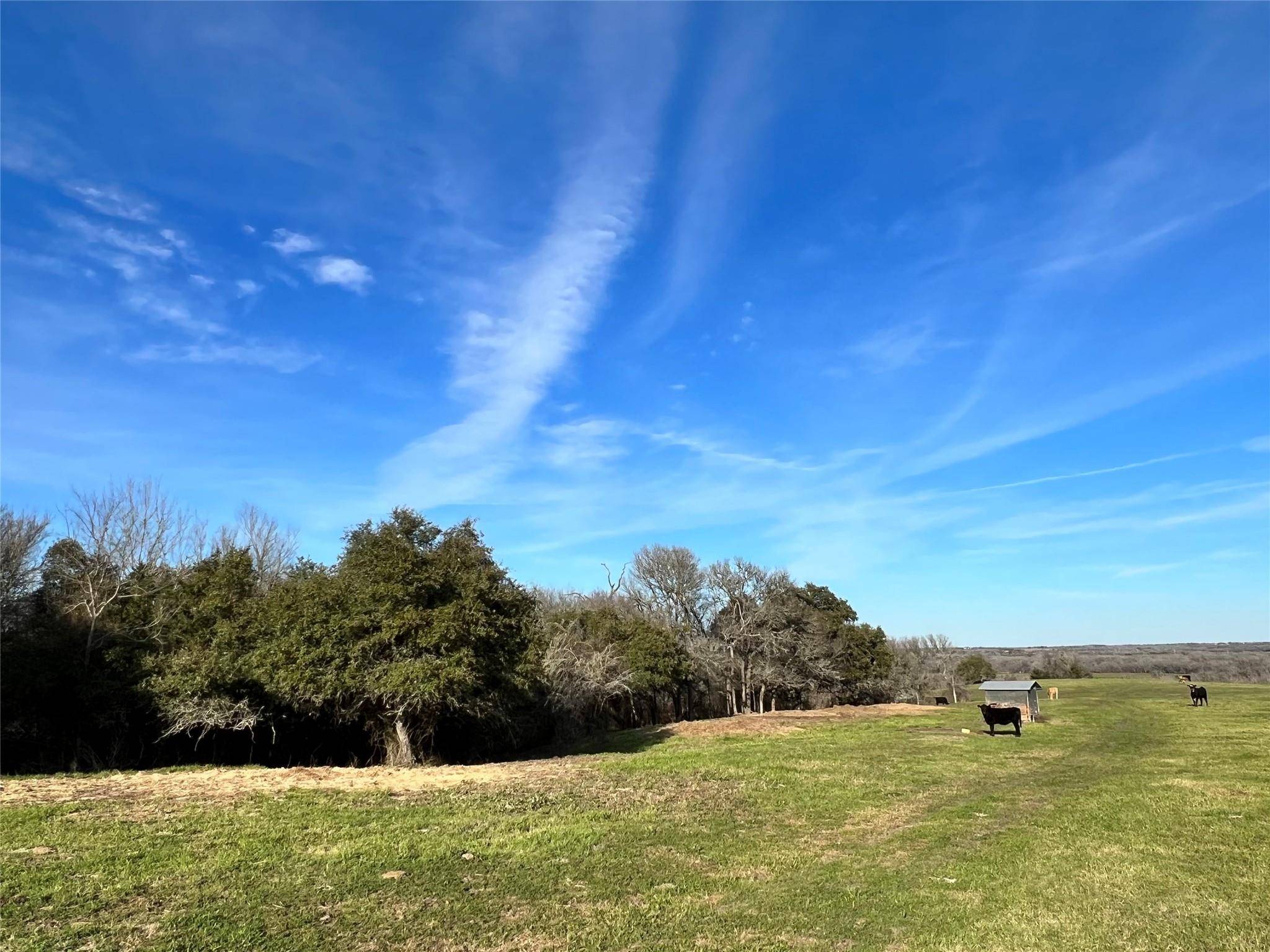 Brenham, TX 77833,TBD Oil Field Road