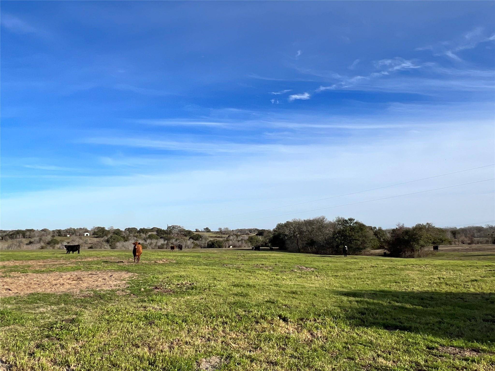 Brenham, TX 77833,TBD Oil Field Road